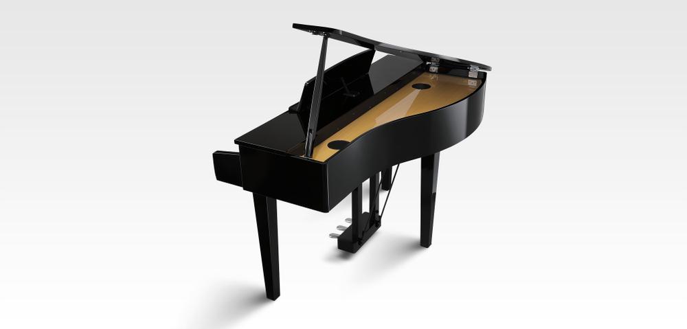 DG30 Digital Grand Piano - Ebony Polish  ( included VIP Service )