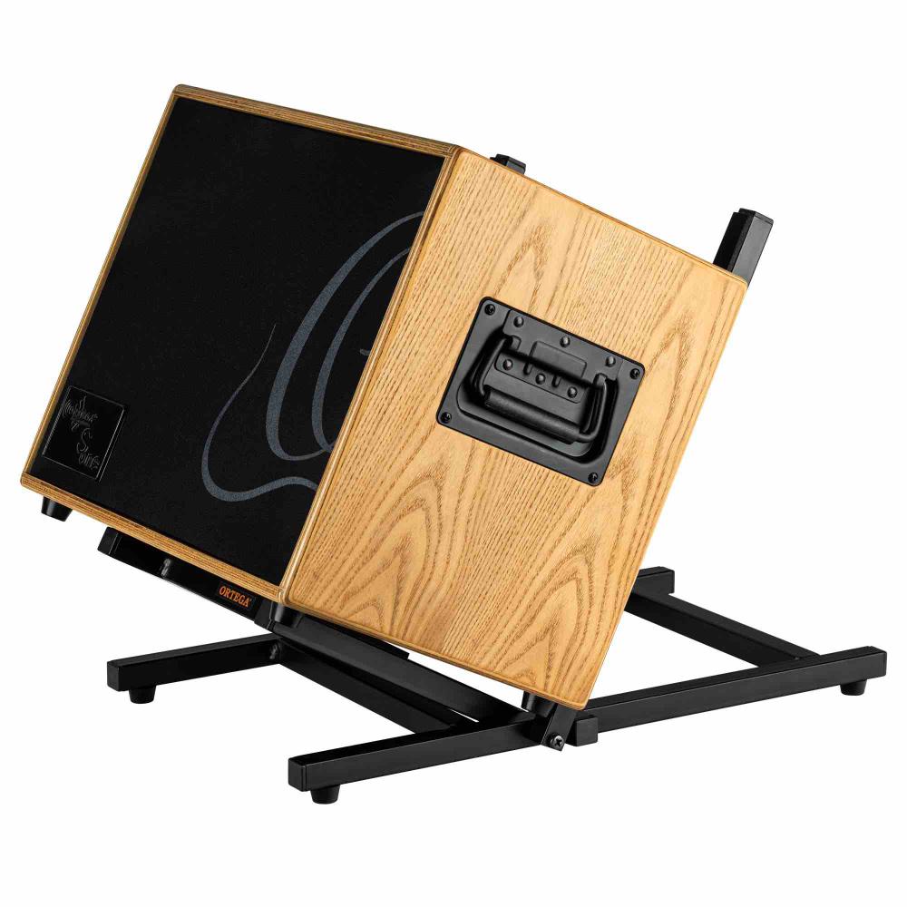 Angled Floor Economy Amp Stand - Black