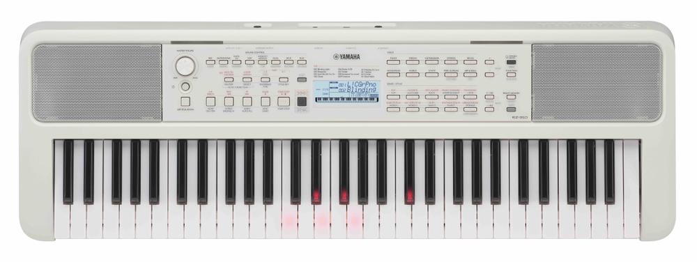 61 Keys Light Keyboard ( standard price 399.- )